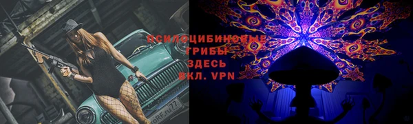 соль ск Белокуриха