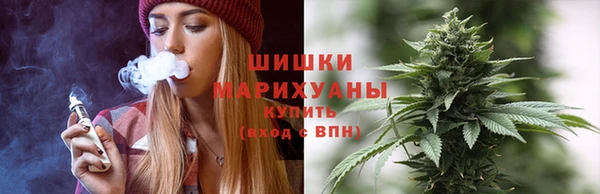 соль ск Белокуриха