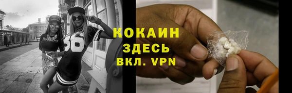 соль ск Белокуриха