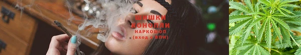 стаф Белоозёрский