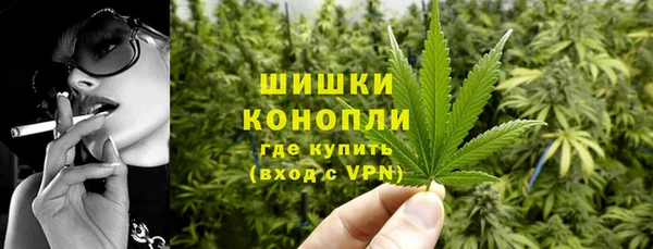 соль ск Белокуриха